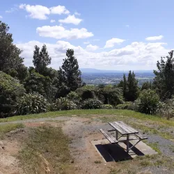 Maungakawa Scenic Reserve - Cambridge