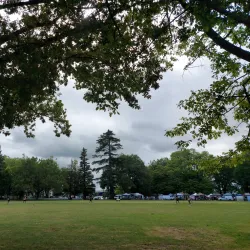 Victoria Square - Cambridge