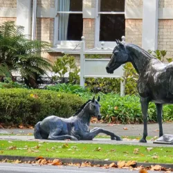 Victoria Square - Cambridge