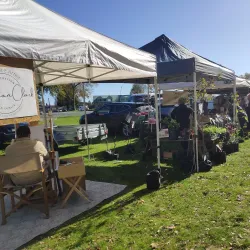 Victoria Square - Cambridge