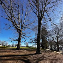Victoria Square - Cambridge