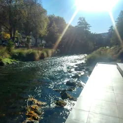 Avon River - Christchurch