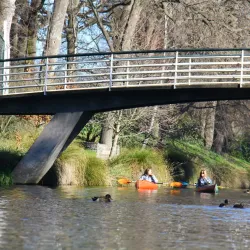 Avon River - Christchurch