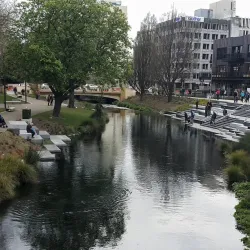 Avon River - Christchurch