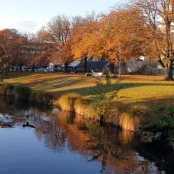 Avon River - Christchurch
