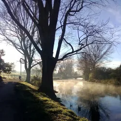 Avon River - Christchurch