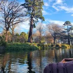 Avon River - Christchurch