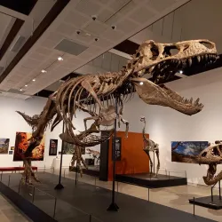 Canterbury Museum - Christchurch