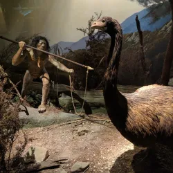 Canterbury Museum - Christchurch