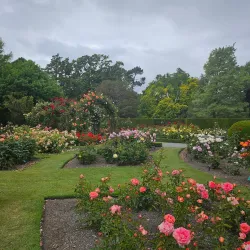 Christchurch Botanic Gardens - Christchurch