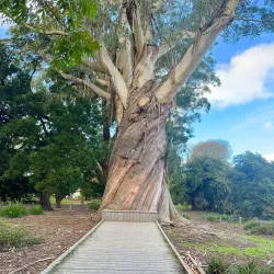 Christchurch Botanic Gardens - Christchurch