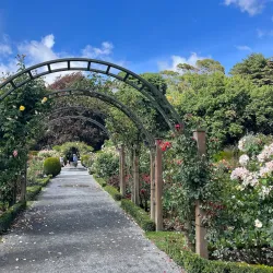 Christchurch Botanic Gardens - Christchurch