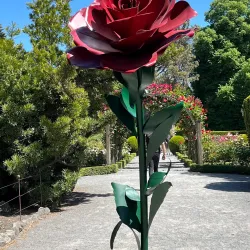 Christchurch Botanic Gardens - Christchurch