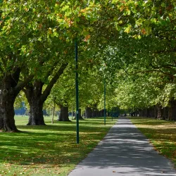 Hagley Park - Christchurch