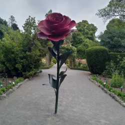 Hagley Park - Christchurch