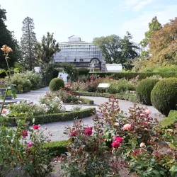 Hagley Park - Christchurch