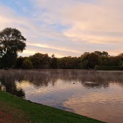 Hagley Park - Christchurch