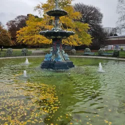 Hagley Park - Christchurch