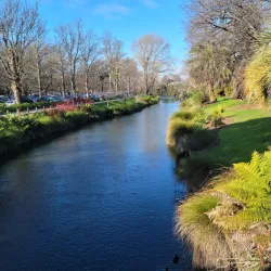 Hagley Park - Christchurch