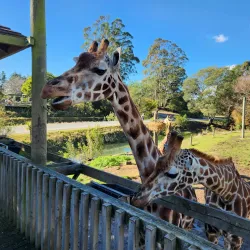 Orana Wildlife Park - Christchurch