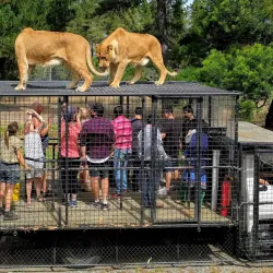 Orana Wildlife Park - Christchurch