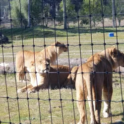 Orana Wildlife Park - Christchurch
