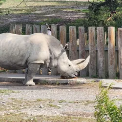 Orana Wildlife Park - Christchurch