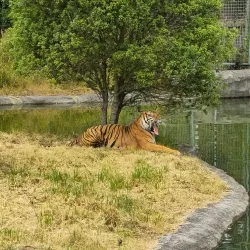 Orana Wildlife Park - Christchurch