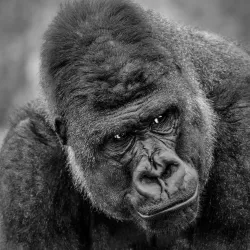 Orana Wildlife Park - Christchurch