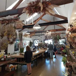 The Tannery - Christchurch