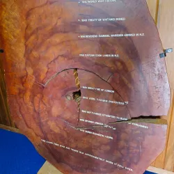 Dargaville Museum - Dargaville