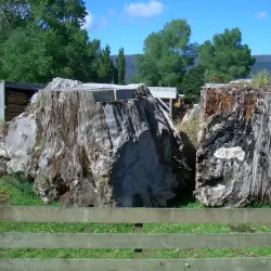 Dargaville Town Centre - Dargaville