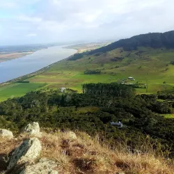 Dargaville Town Centre - Dargaville