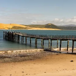Hokianga Harbour - Dargaville