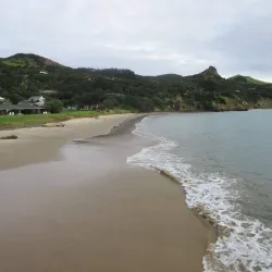 Hokianga Harbour - Dargaville