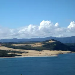 Hokianga Harbour - Dargaville