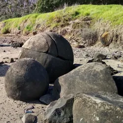 Hokianga Harbour - Dargaville