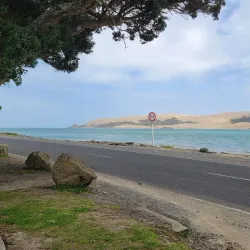 Hokianga Harbour - Dargaville