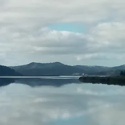 Hokianga Harbour - Dargaville
