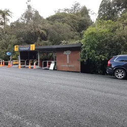 Tane Mahuta - Dargaville