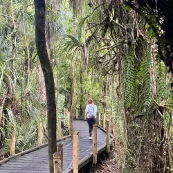Tane Mahuta - Dargaville