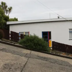 Baldwin Street - Dunedin