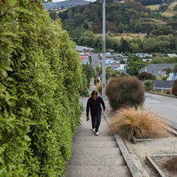 Baldwin Street - Dunedin