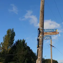 Baldwin Street - Dunedin