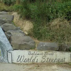 Baldwin Street - Dunedin