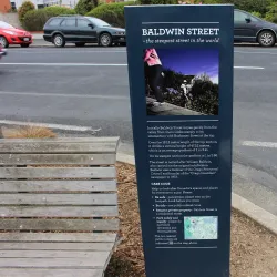 Baldwin Street - Dunedin