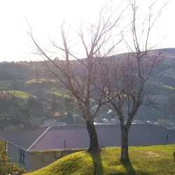 Baldwin Street - Dunedin