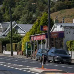 Baldwin Street - Dunedin