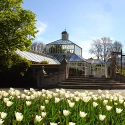 Dunedin Botanic Garden - Dunedin