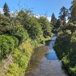 Dunedin Botanic Garden - Dunedin